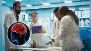 Científicos descubren cómo el cerebro humano distingue la realidad de la ficción, según investigación en Inglaterra