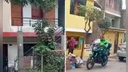 Joven policía es hallado sin vida dentro de su casa en Comas: tenía impacto de bala