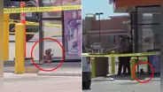 Hallan oso de peluche con falsa piel humana en un paradero de bus en EE.UU. y desata caos: era una obra artística de terror