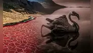 El lago en África con geología volcánica que convierte animales muertos en piedra, pero es clave para la reproducción de otros seres vivos