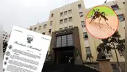 MINSA implementa norma técnica nacional para reforzar control del dengue, chikungunya y otras enfermedades transmitidas por mosquitos