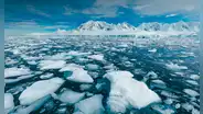 Científicos revelan que el derretimiento de los hielos está volviendo más saladas las aguas de los océanos