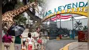 Fiestas Patrias en el Parque de las Leyendas: conciertos, talleres y shows gratis este 28 y 29 de julio