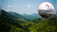 Retrocesos en la legislación ambiental en América Latina alarman a expertos y activistas