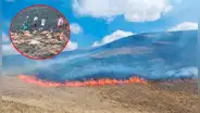 Incendio forestal deja 70 alpacas heridas y arrasa con 450 hectáreas en Puno