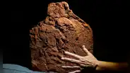 Arqueólogos descubren pieza funeraria de 4.000 años que revela rituales y costumbres del Antiguo Egipto
