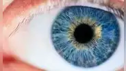 Descubren nuevo color que no se puede percibir de manera natural por el ojo humano: solo 5 personas lo han visto