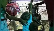 Niño de 6 años queda gravemente herido tras ser atacado por pulpo gigante en acuario de Texas, EEUU: animal no lo soltaba