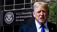 Green Card más difícil para matrimonios en EEUU: USCIS cambia regla clave que afecta a este grupo de residentes en 2025