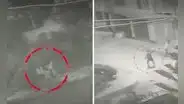Asesinan a balazos a adolescente cuando compartía con su enamorada en parque de San Juan de Miraflores
