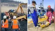 Minería y pesca repuntaron en junio: los factores que impulsaron el resultado, según el INEI