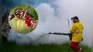 China enfrenta su mayor brote de chikunguña: más de 7.000 contagios en Foshan que combaten con drones, multas y control biológico