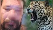 Hombre sufre ataque feroz de un jaguar por salvar a sus perros en Brasil: las mascotas murieron