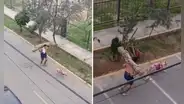 Hombre entrena cargando un tronco en su espalda mientras su perro lo jala y comentarios en TikTok estallan: “Está entrenando para semana santa”