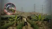 Peruana transformó basural de SJM en un huerto y hoy triunfa con emprendimiento de plantas medicinales: "Nadie apostaba por esto"