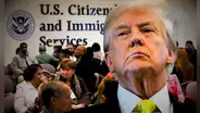 USCIS confirma que inmigrantes indocumentados serán deportados de EEUU si cometen este grave delito en su país de origen