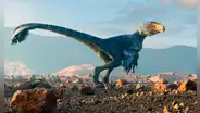 Científicos hicieron un experimento con pollos y logran que se parezcan en algo a los dinosaurios
