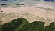 Científicos revelan el tiempo que le quedaría a la selva amazónica para convertirse en pastizales secos