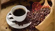Día del Café Peruano en Lima: miles de cappuccinos gratis y actividades en el Festival Cafesazo Peruano 2025