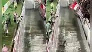 Fue a celebrar un gol a la tribuna, pero terminó cayendo por una fosa de 2 metros y en redes dicen: "Peor es descender"