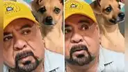 Hombre se hace viral por elegir a su perro antes que a su pareja pese a un ultimátum: "Es un familiar mío"
