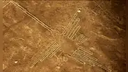 La fascinación de los nazca por representar animales no solo se aprecia en sus famosas líneas