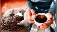 Día del Café peruano 2025, el aroma que hace historia: conoce cuál es su origen y los lugares donde podrás degustar de la sabrosa bebida