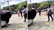 Peruana confunde disfraz de cóndor con animal real e intenta darle de comer: clip es furor en TikTok