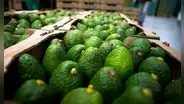 Este país de Sudamérica es el segundo mayor exportador de palta en el mundo con más de US$1.000 millones en 2025