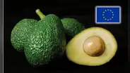 Palta peruana bajo lupa en la Unión Europea y Chile: detectan alto niveles de cadmio en exportaciones del "oro verde"