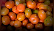 Este país de Sudamérica es el principal exportador de mandarina en la región y el séptimo en el mundo con 64 millones de dólares en lo que va del 2025
