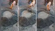 Perrito ayuda a su dueño a preparar cemento y en redes bromean: "En su antigua vida fue albañil"