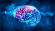 Estudio revela que el cerebro puede neutralizar los recuerdos de miedo sin borrarlos y reducir el impacto emocional