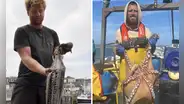 Aumento de pulpos provoca problemas a la pesca en Reino Unido: "Es una plaga"