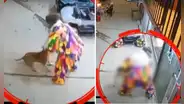 Captan a hombre golpeando y lanzando contra la pared a perrito en calle de Junín