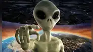 Científicos revelan hipótesis sobre un animal cuya insólita inteligencia lo hace el más cercano a la vida extraterrestre