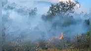 Incendio forestal cerca de Machu Picchu mantiene activa la alerta en Cusco