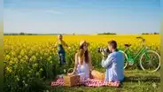 ¿Qué día de septiembre se regalan flores amarillas en Perú?