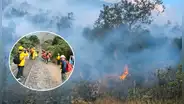Lluvias y brigadistas logran controlar incendio forestal en Machu Picchu
