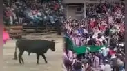 Joven muere corneado por enorme toro y tribunas colapsan durante fiesta patronal en Áncash