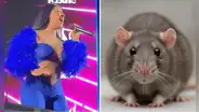 Kate Candela vive insólito momento en concierto tras aparición de una rata que detuvo todo el show: "¿De qué tamaño es?"