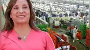 Gobierno de Dina Boluarte promulga Ley Chlimper 2.0: otorga beneficios tributarios a grandes empresas agroexportadoras