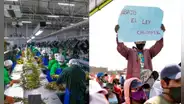 Nueva Ley Agraria: gremios advierten retroceso en derechos laborales y fiscalización