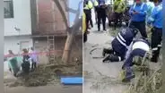 Joven jardinero pierde la vida al podar árbol cerca de cables de alta tensión en Surco