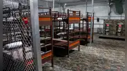 Denuncian la ‘desaparición’ de cientos de inmigrantes arrestados en Alligator Alcatraz: no figuran en base de datos del ICE
