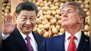 El país de Sudamérica que remplaza a Estados Unidos como el mayor exportador de soja a China por guerra de aranceles de Trump