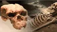 China desafía la historia de la evolución humana con el hallazgo de un cráneo de un millón de años de antigüedad