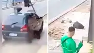 Hombre se salva de morir arrollado por un auto en Brasil y se pone a rezar de rodillas para agradecer