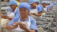 El 39% de empresas contratará personal pese a la incertidumbre electoral: Energía y Manufactura lideran, ¿Por qué?