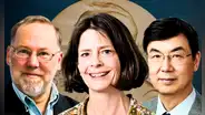 Brankov, Ramstell y Sakaguchi ganan el premio Nobel de Medicina por revelar cómo se controla el sistema inmunológico